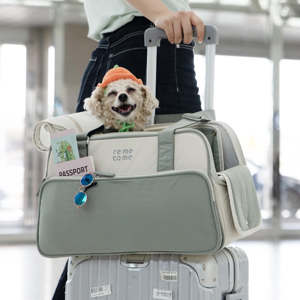 레미투미 GRWM 강아지 고양이 이동가방 기내용 산책가방